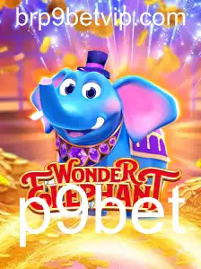 Explorando o Maravilhoso Mundo de WonderElephant